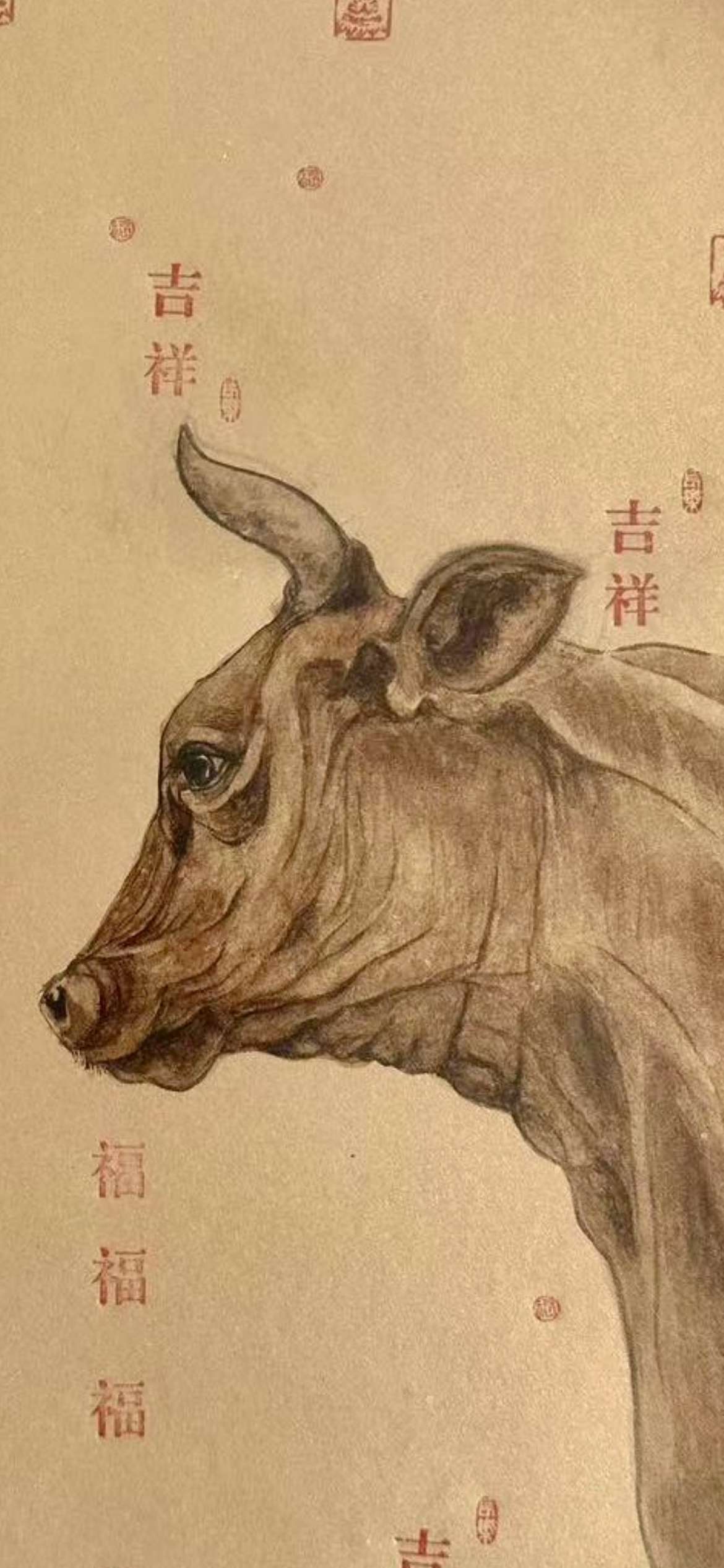图片包含 室内, 看着, 站, 棕色 描述已自动生成
